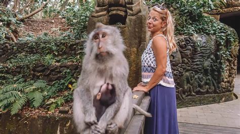 10 Important Tips For Visiting Ubud Monkey Forest