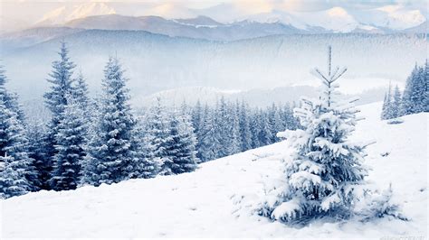 🔥 [60+] Free Winter Pictures Wallpapers | WallpaperSafari