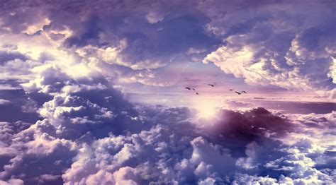 Download Flying Bird Cloud Nature Sky HD Wallpaper