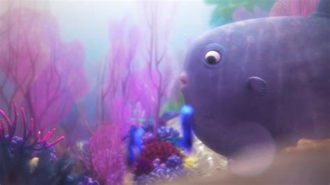 Finding Dory Screencap | Fancaps