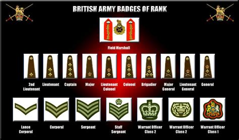 WW2 - The Second World War: British Army Insignia of Rank