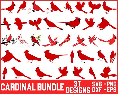 Cardinal SVG Bundle , Cardinal Bird Svg, Memorial Svg, Cardinal Silhouette Svg, Cardinal Clipart ...