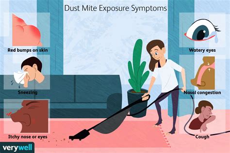 Dust Mite Bites: Treatment, Symptoms, and More