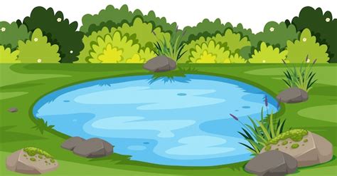 Cartoon Fish Pond : Cartoon Fish Pond | Dozorisozo