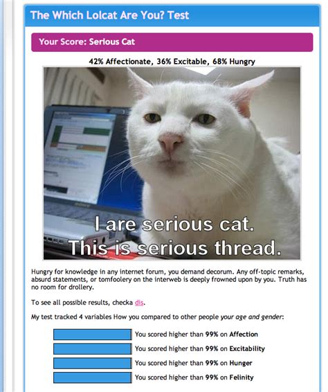 [Image - 55976] | Serious Cat | Know Your Meme