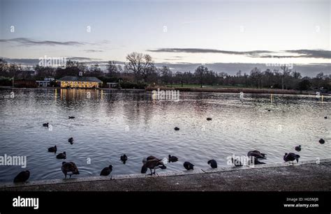 Serpentine lake hyde park hi-res stock photography and images - Alamy