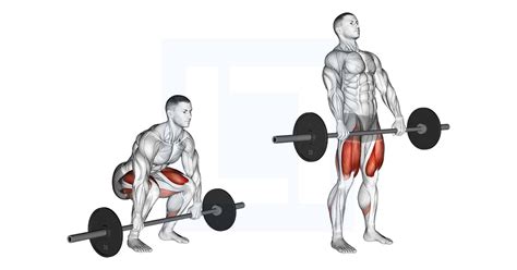 Barbell Clean Deadlift - Guide, Benefits, and Form