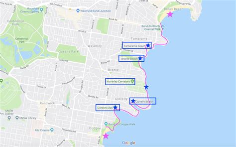 The Coogee to Bondi Walk | A Guide to Sydney's Best Coastal Walk