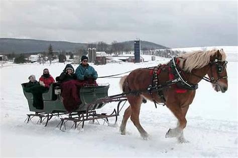 Sleigh Rides - Mountain Creek Cabins