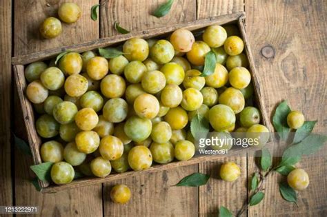 228 Greengage Stock Photos, High-Res Pictures, and Images - Getty Images