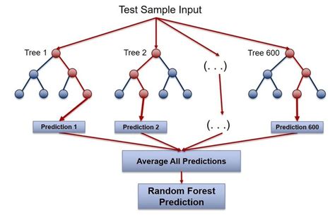 Random Forest visualization | Download Scientific Diagram