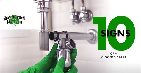 10 Signs of a Clogged Drain | Shamrock Plumbing