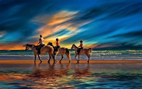 Horse On Beach Wallpapers - Top Free Horse On Beach Backgrounds ...