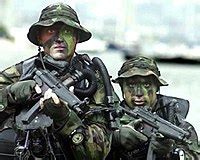 United States Navy SEALs - Wikipedia