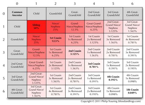 Perceptions of Relationship - B&F: Jewish Genealogy and More