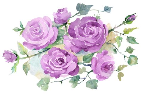 Bouquet with purple roses Watercolor png