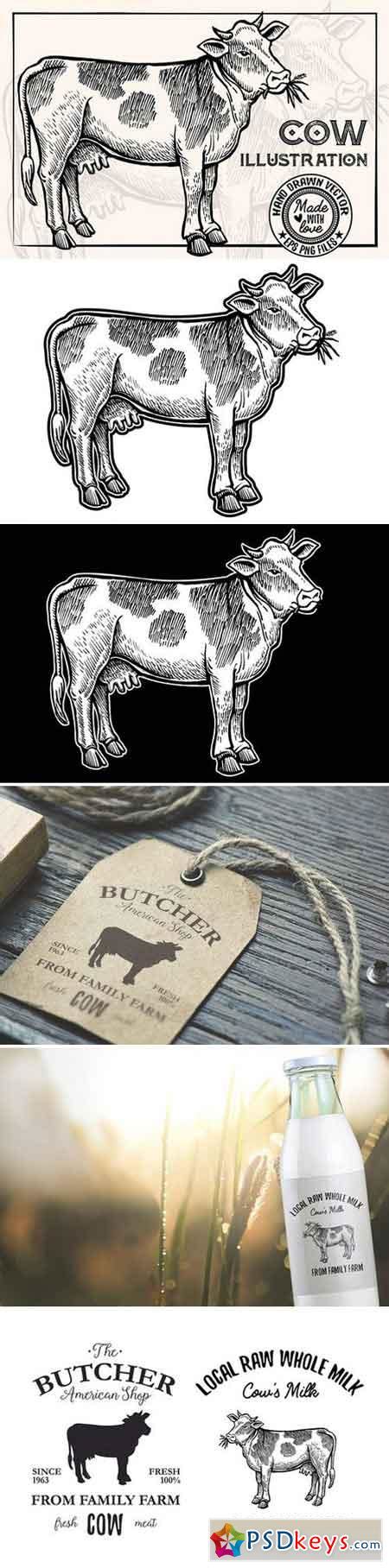 Cow Vintage Illustration 1910176 » Free Download Photoshop Vector Stock image Via Torrent ...