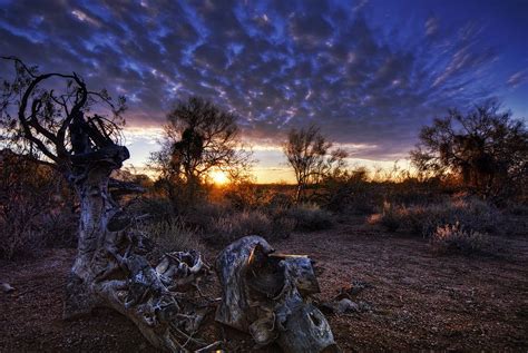 Purple Sunrise Photograph by Saija Lehtonen - Fine Art America