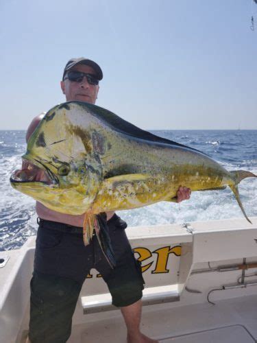 Mahi Mahi Fishing: All you need to know | TomsCatch Blog