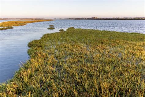 Sunset at Bolsa Chica Wetlands Stock Image - Image of nature, southern ...