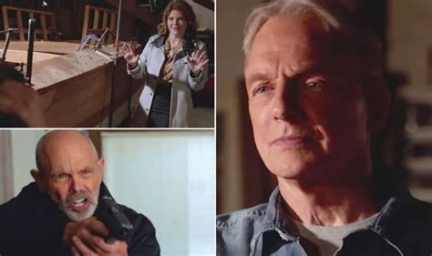 NCIS season 16, episode 24 promo: What will happen in the finale? | TV & Radio | Showbiz & TV ...