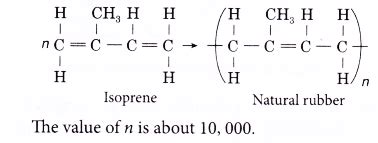 What is the monomer of natural rubber? - CBSE Library