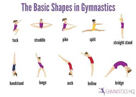 The Basic Shapes in Gymnastics | Gymnastics workout, Gymnastics lessons, Gymnastics training