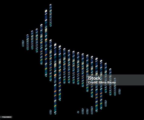 The Linear Illustration Of A Rabbit Logo Animal Vector Illustration Stock Illustration ...