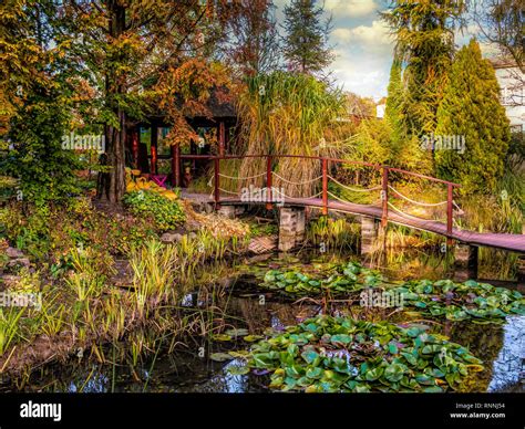 Beautiful garden with pond and wooden bridge Stock Photo - Alamy