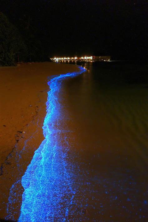 Maldives Resort Visitors Witness Amazing Starry Night Sea Phenomenon