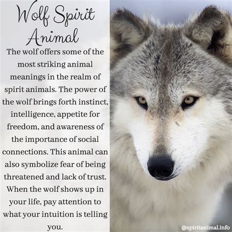 Wolf Spirit Animal