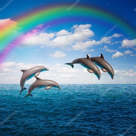 Pack of jumping dolphins — Stock Photo © Neirfys #67176979