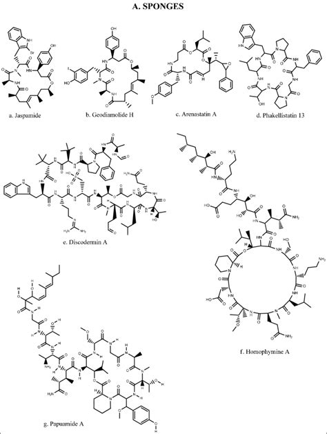 Chemical structures of bioactive peptides and depsipeptides from marine... | Download Scientific ...