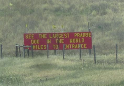 Pitstop at a Roadside Zoo — Sunglasses Required