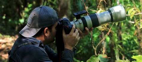 Manuel Antonio birding and wildlife tours - Johan Chaves