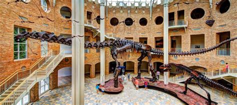 Exhibits about dinosaurs, a 75-acre outdoor space and a new giant ...