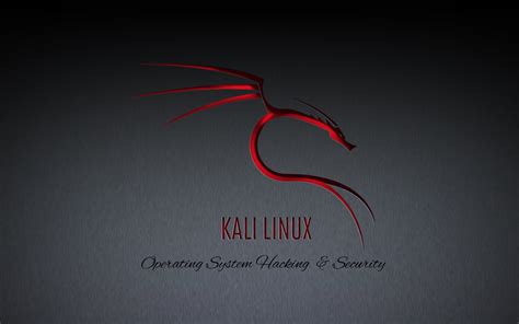 🔥 Download Kali Linux HD by @anthonygardner | Kali Linux Wallpapers HD, Kali Linux Wallpapers HD ...