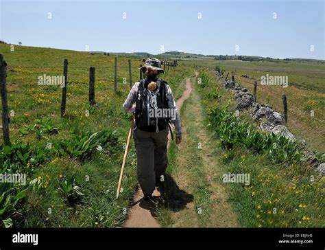 Way of St. James pilgrim on the route. Christian pilgrimage route. Saint-Jacques-de-Compostelle ...