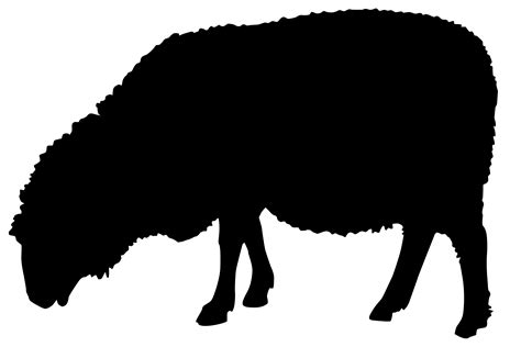 sheep silhouette png 10 free Cliparts | Download images on Clipground 2024