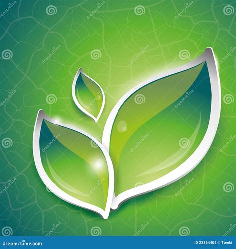 Green leaves design stock vector. Illustration of element - 22864404