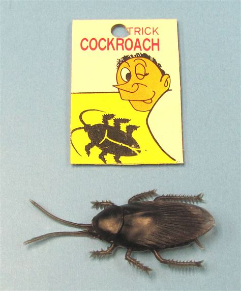 Cockroach Joke | Winkler's Magic Warehouse