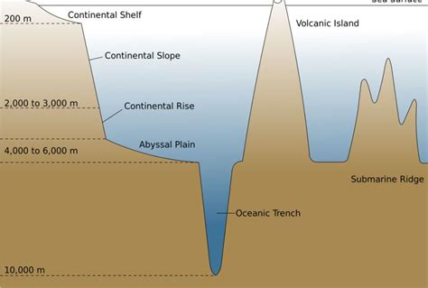 Mariana Trench Cross Section