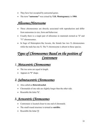 Chromosomes | PDF