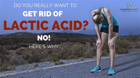 How Lactic Acid Works for Runners - Runners Connect