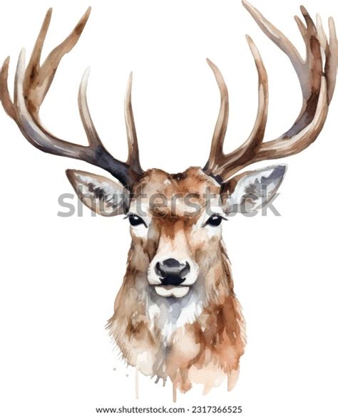 Deer Head Drawing Royalty-Free Images, Stock Photos & Pictures | Shutterstock