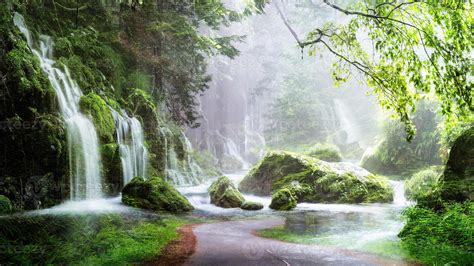 morning mist in the forest - Beautiful landscape - Drawing meadow in tropical forest 9506014 ...