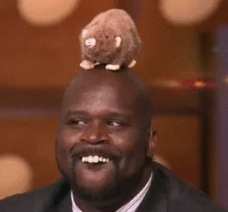 Shaq Animated GIF