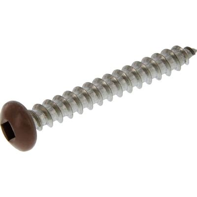 Stainless steel Screws at Lowes.com