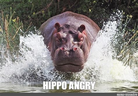 Meme: "HIPPO ANGRY" - All Templates - Meme-arsenal.com