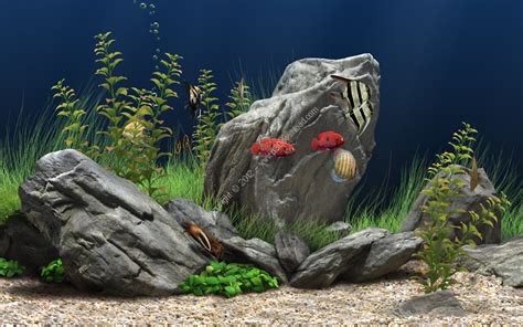 Download> Dream Aquarium Screensaver v1.234 + Full Crack - jyvsoft